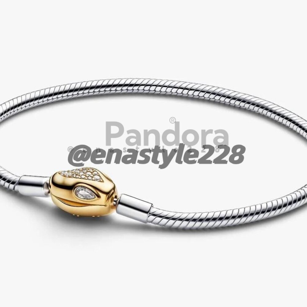 Pandora Snake Clasp & Chain Bracelet